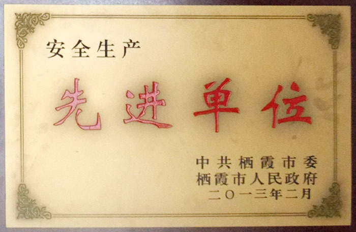 荣誉证书6 荣誉证书6