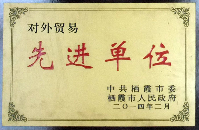 荣誉证书5 荣誉证书5