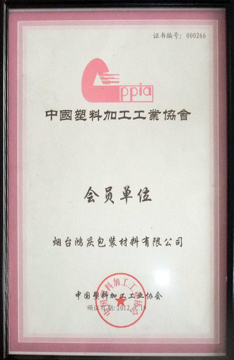 荣誉证书16 荣誉证书16