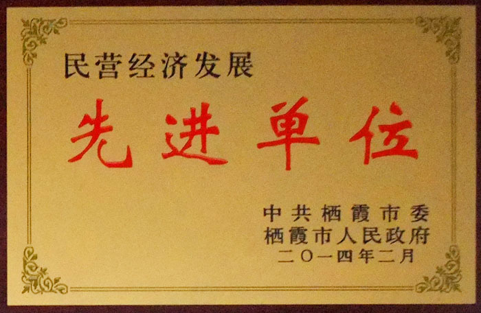 荣誉证书4 荣誉证书4