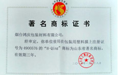 荣誉证书9 荣誉证书9