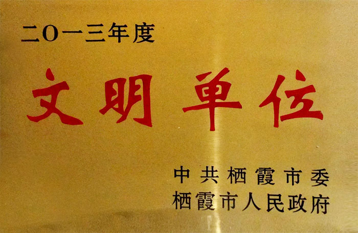 荣誉证书 荣誉证书