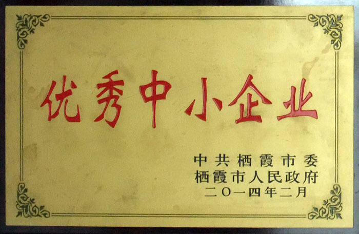 荣誉证书8 荣誉证书8