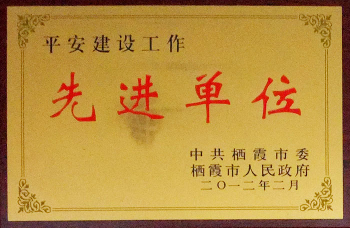 荣誉证书3 荣誉证书3