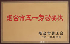荣誉证书13 荣誉证书13