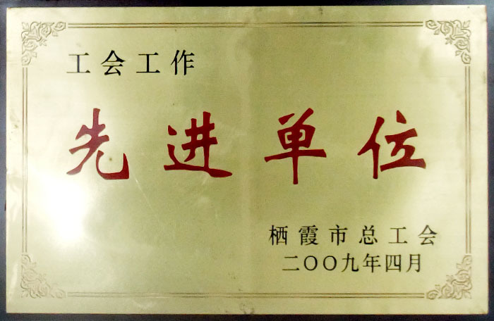 荣誉证书10 荣誉证书10